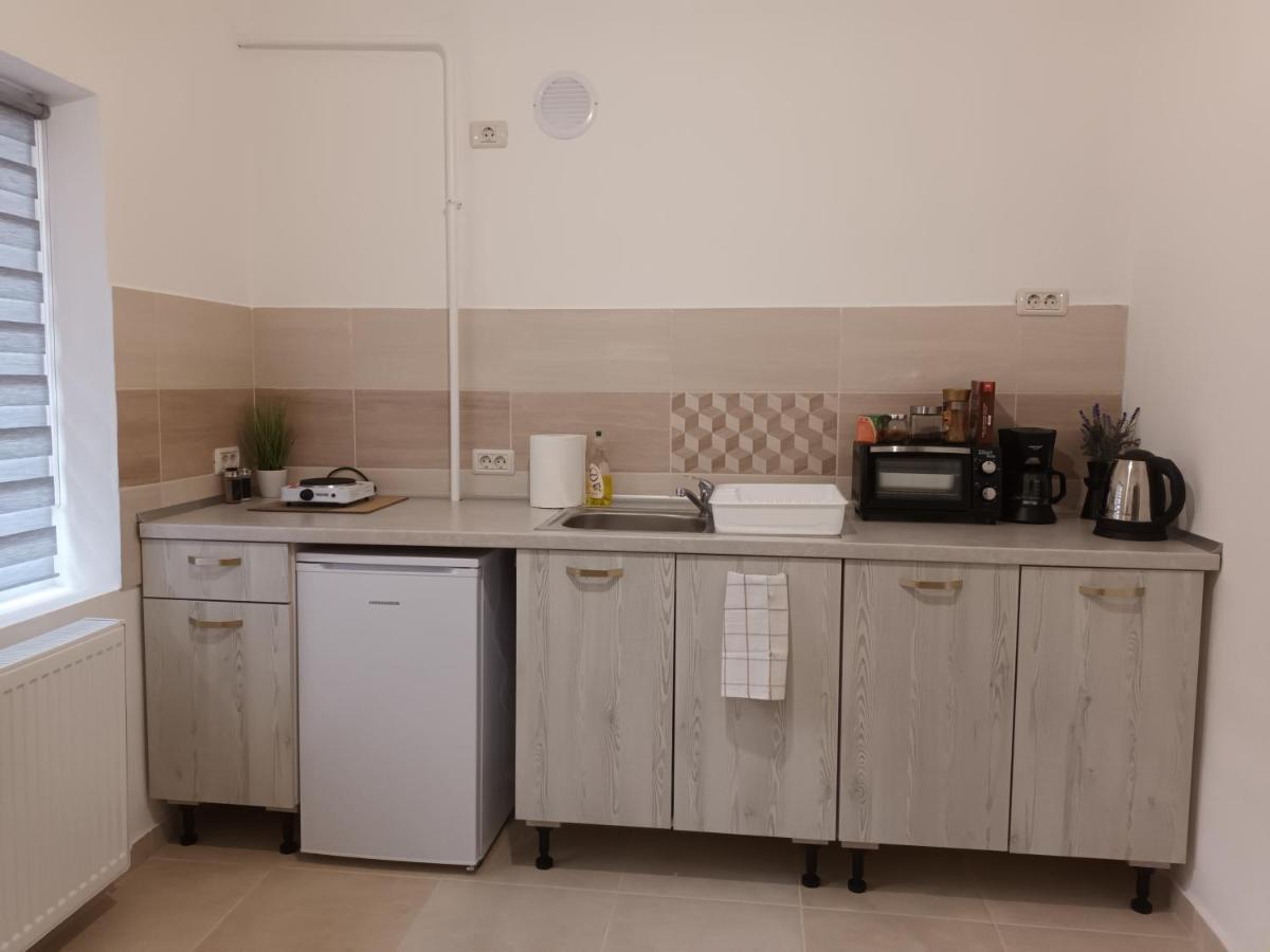 Ferienwohnung 3 Josepartment Timişoara Exterior foto